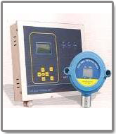 Gas Detection System